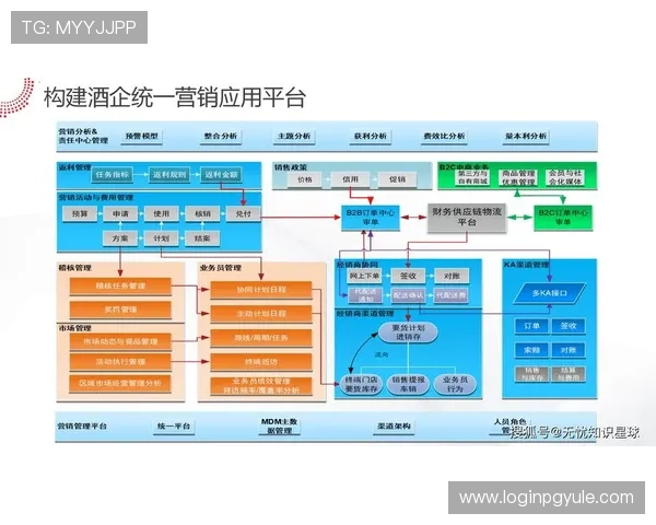 K8视讯集团如何通过技术创新提升用户体验，推动行业数字化转型与可持续发展